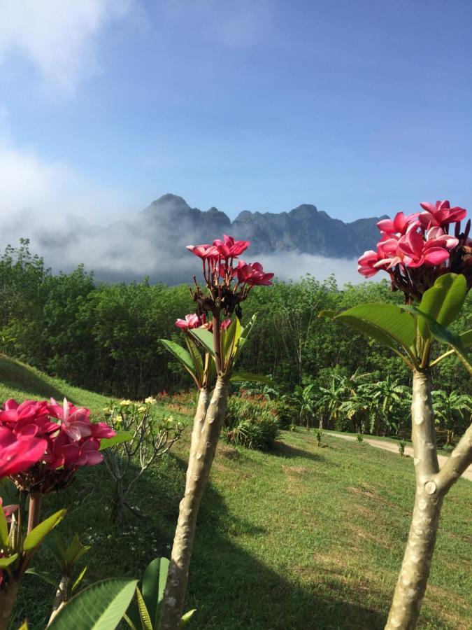 Billion Views Khaosok Homestay Khao Sok National Park Exteriör bild